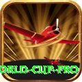 2019 world cup - Mega Earning App