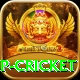 2022 world cup cricket Deluxe Edition v3.6.7
