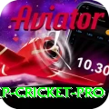 2022 world cup cricket Earn Premium v4.1.5