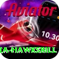 antigua hawksbill Max v2.4.6