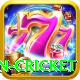 australian cricket VIP Edition v1.3.9