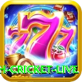 bangladesh cricket live Elite Pro v5.0.4