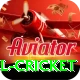 bbl cricket Ultimate Pro v1.3.8