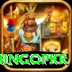 bingopkr Master v3.4.8