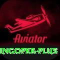 bingopkr VIP Pro v4.4.8