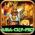 cricbuzz asia cup Games Premium