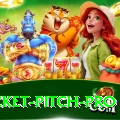 cricket pitch Prime Gaming App