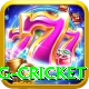 eng cricket VIP Edition v4.1.4