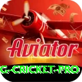 eng cricket APK Plus v3.2.4