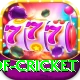 god of cricket App