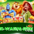 imad wasim spin Pro Edition v3.3.7