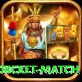 india pakistan cricket match Turbo Pro v5.1.5