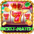 international cricket match Master v2.9.9