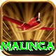 lasith malinga Games (Casino & Earning) Max v4.2.8