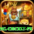 make money betting cricket pk Gold Edition v5.2.8