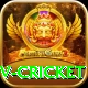 ndtv cricket Ultimate v3.5.4