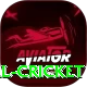nepal cricket Games (Casino & Earning) Deluxe v3.8.2
