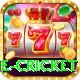 one cricket Max v1.6.7
