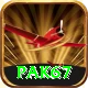 Pak67 VIP v1.6.5