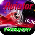 pakrummy Apps (Tools & Injectors) Pro v5.3.2