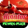pkwin Deluxe Pro v2.7.0
