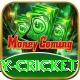 play cricket Ultimate v2.2.8