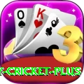 play cricket PK Extreme