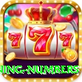 powerball winning numbers VIP v5.9.4
