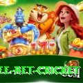 risk free bet cricket Ultimate v1.1.6