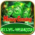steve waugh Ultimate v5.8.0