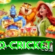 t20 cricket Plus Pro v3.0.5