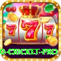 t20 cricket Master New