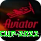 t20 world cup 2022 VIP v4.9.5