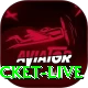 test cricket live Pro v2.0.1