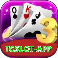 tgslot - Champion Edition v4.8.4