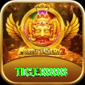 tiger888 Gold v3.7.7