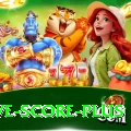 tnpl live score VIP - Daily Bonus