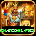 today cricket match score Live Royal v3.8.1