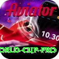 today match t20 world cup Mega v4.0.8