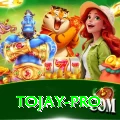 tojay VIP Edition v3.0.3