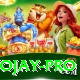 tojay VIP Edition v3.0.3